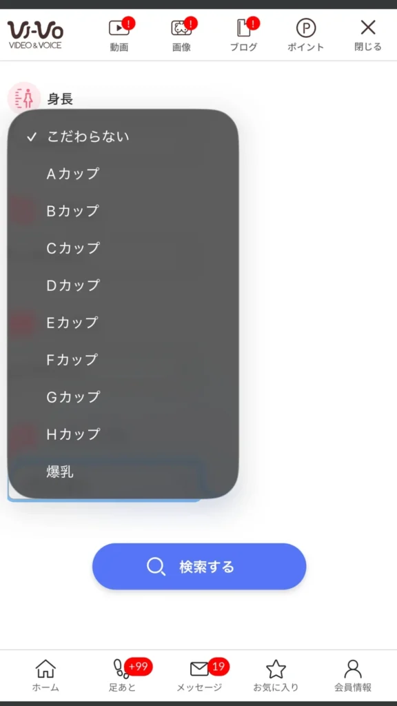 VI-VOの30 検索画面